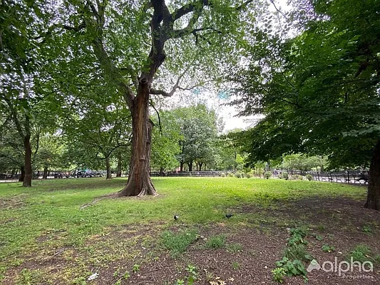 Rented by Alpha Properties NYC I LLC | media 20