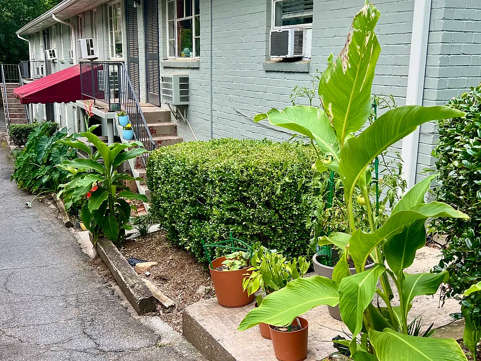 877 Charles Allen Dr NE #5