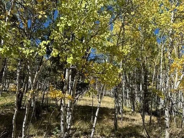 135 Powderhorn Ln, Florissant, CO 80816