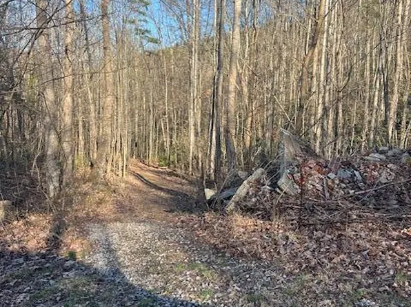 1 Luttrell St, Erwin, TN 37650