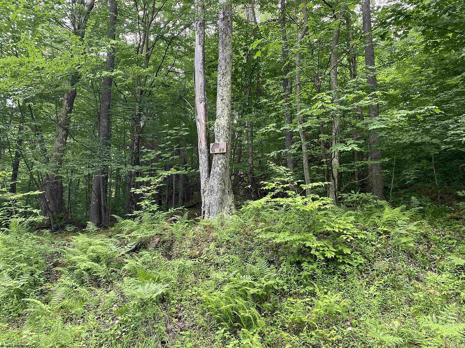 25 Old Black Bear Trail Dr, Davis, WV 26260 | MLS #10149937 | Zillow