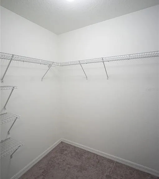 10669 Lake Montauk Dr — Photo 13