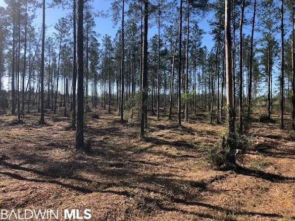 43480 State Highway 112 Point #6, Bay Minette, AL 36507