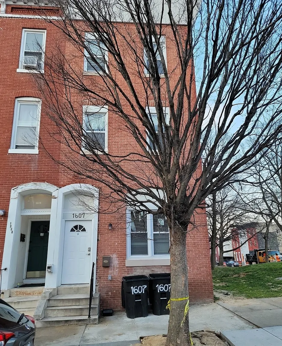 1 bed, $550 — Photo 1