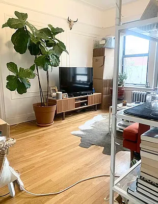 Rented by Voro New York | media 3