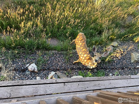 5th image of 60 Sylvia Ct