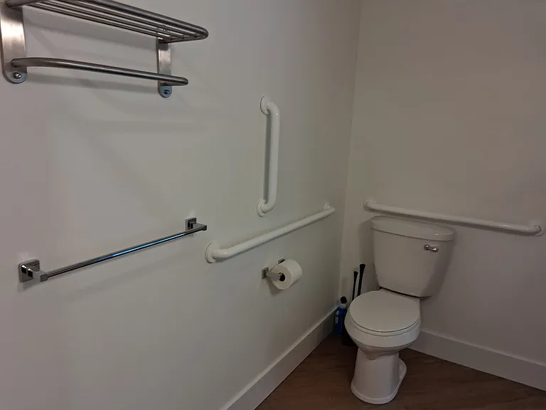 The toilet has grab bars for extra ease