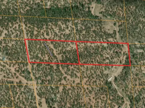 160 7th Trail, Cotopaxi, CO 81223