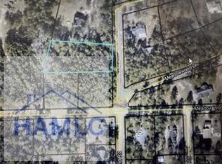 0 Palm Island Cir, Jesup, GA 31545