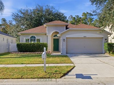 10232 Grant Creek Dr, Tampa, FL, 33647