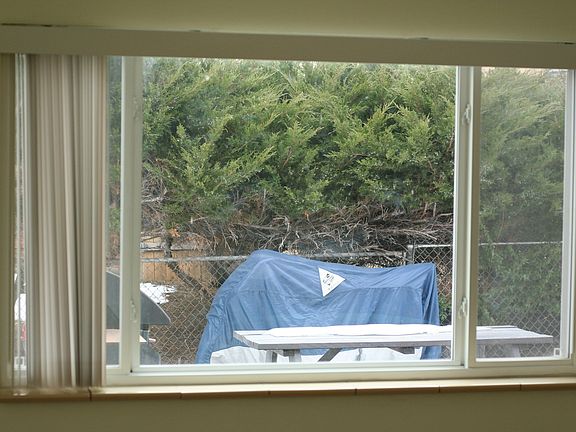 Big living room window