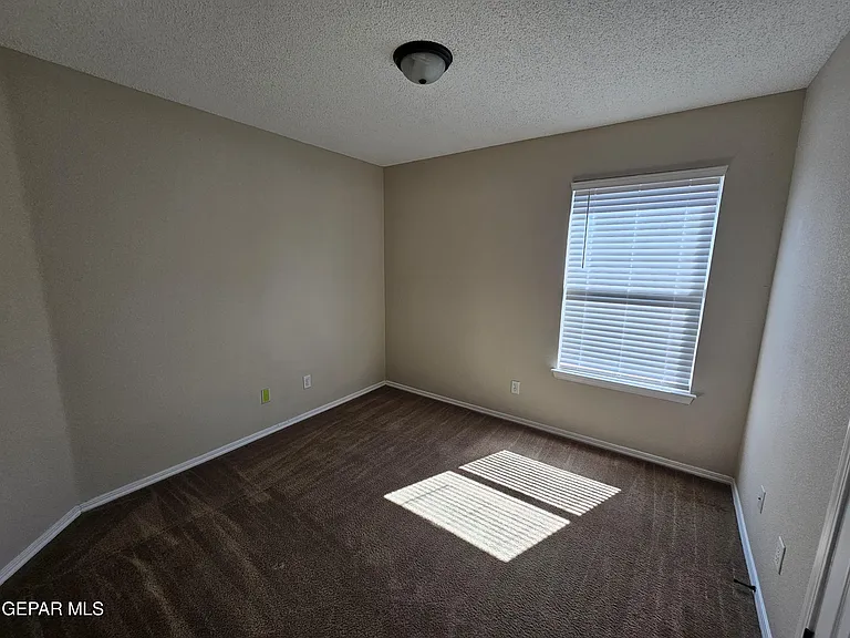 12036 Copper Head Ln — Photo 8