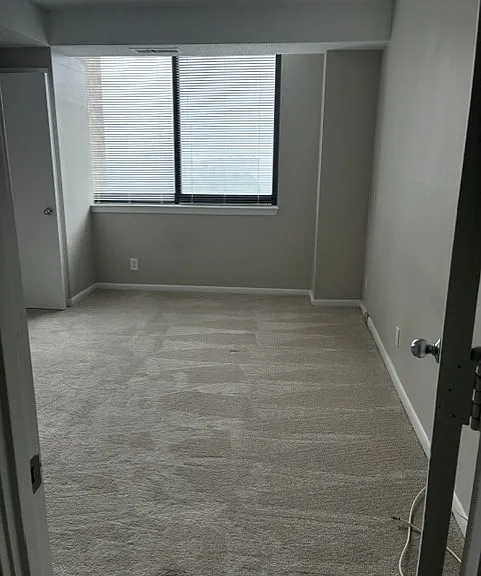 5501 Seminary Rd #1207 — Photo 14