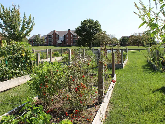 TAG_Baytowne_Ameneties-garden