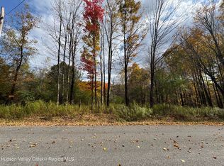 0 Wade Rd, Liberty, NY 12754