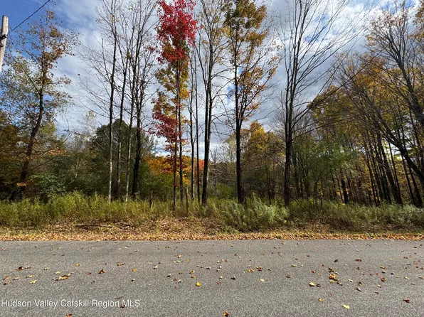 0 Wade Road, Liberty, NY 12754