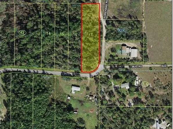 7101 Forehand Rd, Davenport, FL 33896