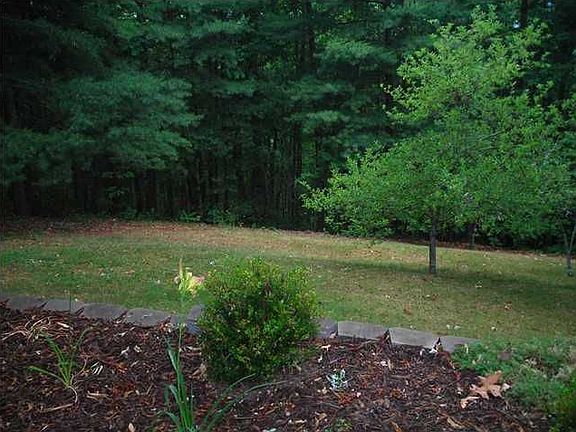 A view of the backyard from the deck. Lots of woods and privacy.