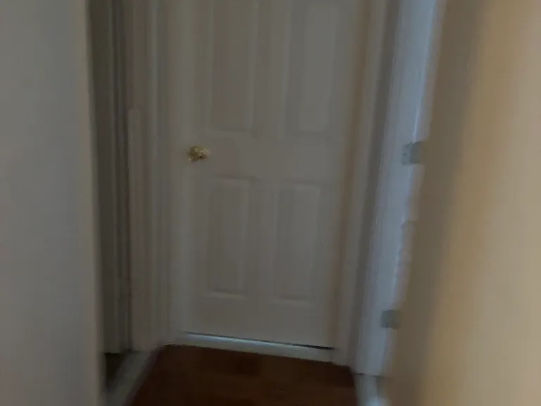 5307 Timber Haven Ln — Photo 5