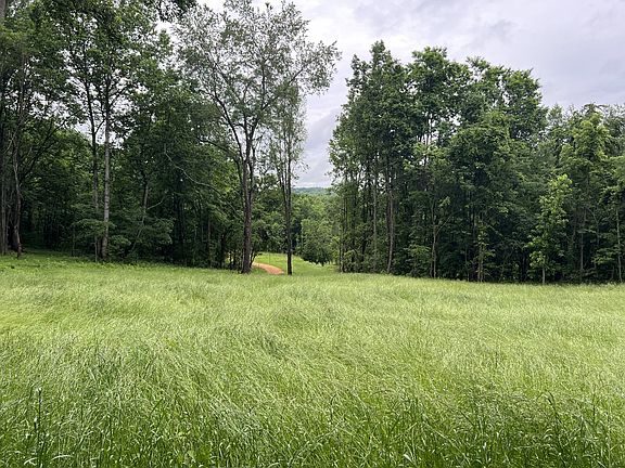 2nd image of 0 Preacher Holt Rd Lot 3&4