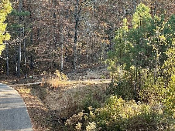 2nd image of Binion Creek Hts