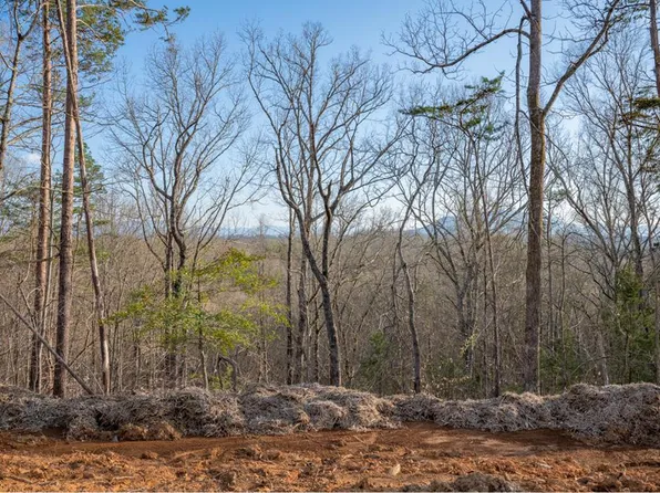 165 Reedmont Way, Sevierville, TN 37876