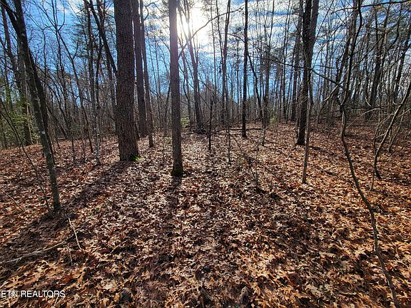 2nd image of 30 Laurel Loop