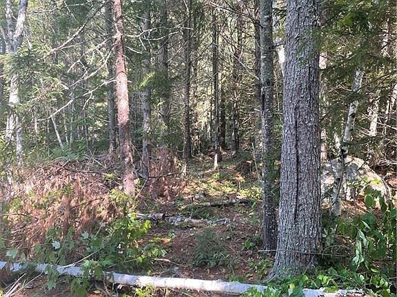 5th image of 80 Whittier Rd