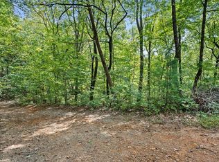 23-B Lake View Dr #23B, Cherry Log, GA 30522