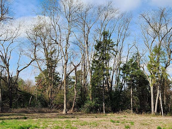 4th image of Lot # 6 Corbins Close