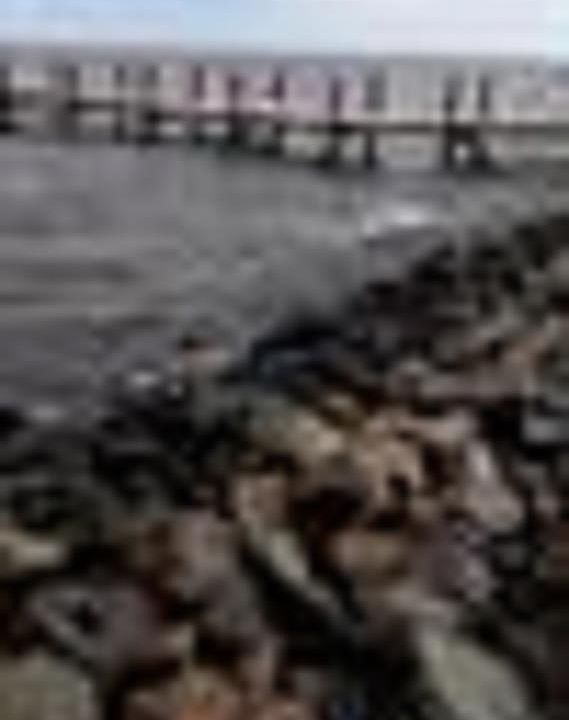 1st image of 427 Owens Ln #0