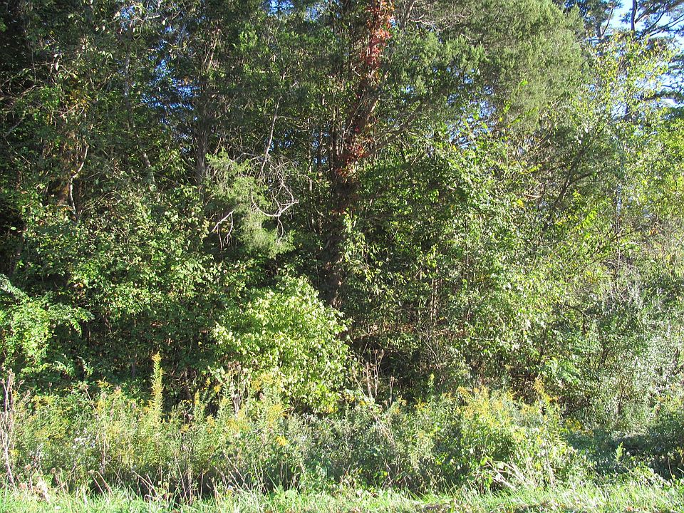 2nd image of Hickory Valley Rd