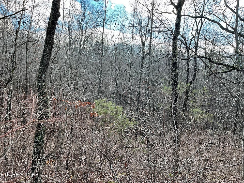 0 Tipple Rd Tracy City TN Zillow