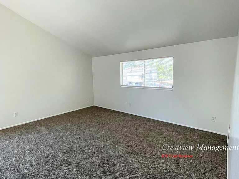 Giles 2670 — Photo 7