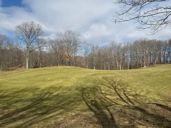 9689 Saint Ives Dr, Stanwood, MI 49346