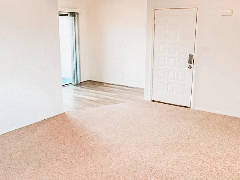 1136 Plaza Oro Loma — Photo 10
