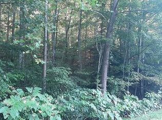 Pack Fork Rd, Lizemores, WV 25125