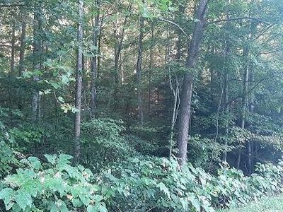 Pack Fork Rd, Lizemores, WV, 25125