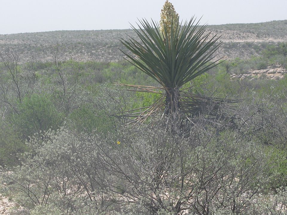 1st image of 16238 Seminole Canyon Road