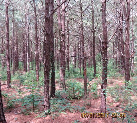 5th image of 20 Acres Cir #440