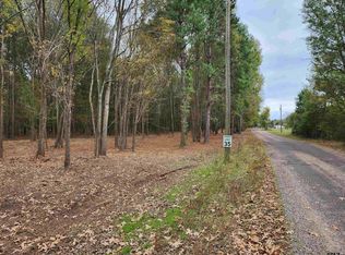 County Road 4313 LOT 3, Pittsburg, TX 75686