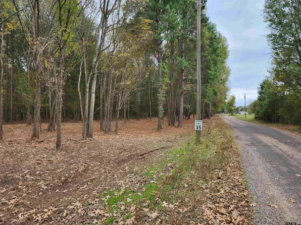 County Road 4313 Lot 3, Pittsburg, TX 75686