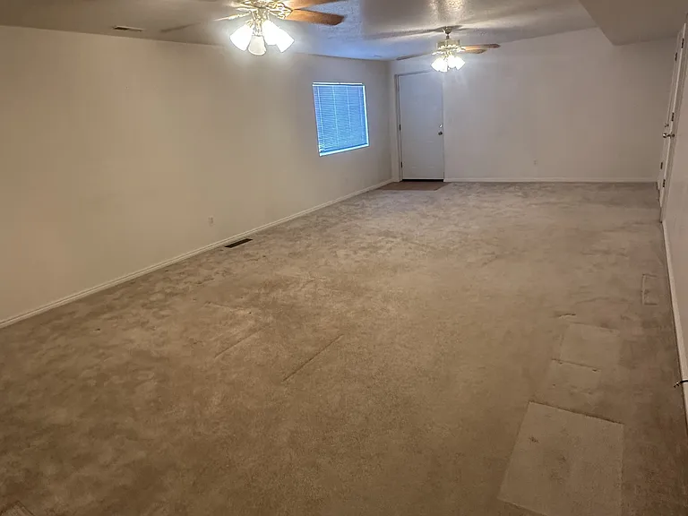 Downstairs family room