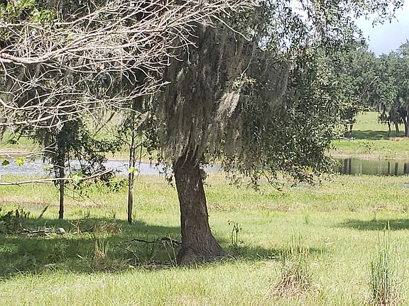 5th image of 0 COUNTY ROAD 308