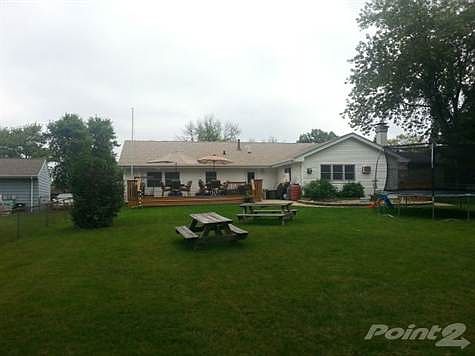 back yard 3