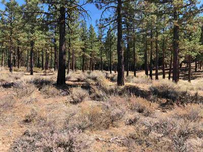 5022 Harvest Moon, Portola, CA, 96122