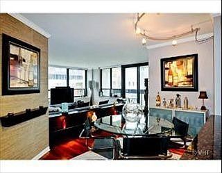 5th image of 222 E Pearson St APT 2509