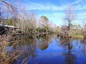 6530 Dahlia Dr, Panama City, FL 32404