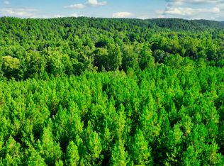 County Road 8, Waterloo, AL 35677