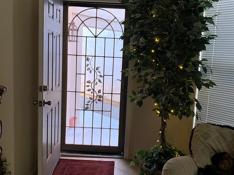 Security front screen door.